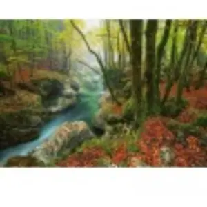 Comparateur de prix : Puzzle 1000 pièces Heye Little Book Magic Forests