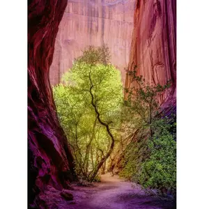Puzzle 1000 pièces - HEYE - Canyon chantant - Abstrait - Adulte - Mixte pas cher