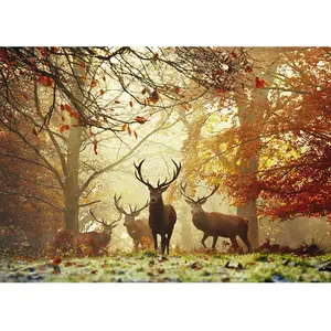 Heye puzzel Stags Magic Forest - 1000 stukjes pas cher