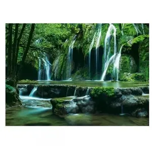 Heye Rafael Rojas : Cascades 29602 pas cher