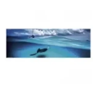 Heye - Heye-29470 - Puzzle Classique - Stingray - 1000 Pièces pas cher