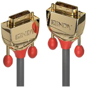 LINDY 10m Gold DVI-D SLD Single Link pas cher