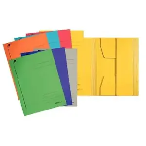 Leitz chemise-trieur, format a4, carton robuste coloré 320 3924-00-01 pas cher