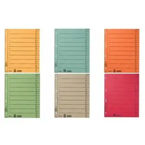 LEITZ intercalaires, format A4 extra large,en carton manille pas cher