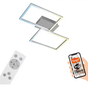 BRILONER - Plafonnier LED intelligent, lampe de salon Wifi, contrôle d... pas cher