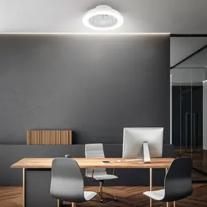BRILONER Pafo - Plafondventilator met verlichting - LED plafondlamp me...Vendu parbol