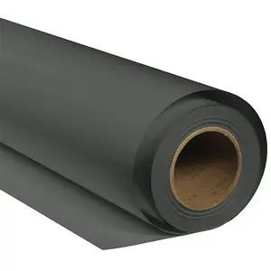 Bresser Document De Fond Sbp01 2.72x6 M pas cher