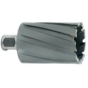 Metabo Mèche à carotter HM 626616000-70 x 55 mm pas cher