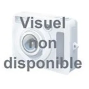 Cordon de branchement pas cher