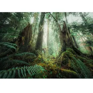 Ravensburger puzzel Nature Edition - Im Wald - 1000 stukjes. pas cher