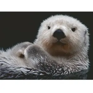 Ravensburger Douce Petite Loutre 00235 pas cher