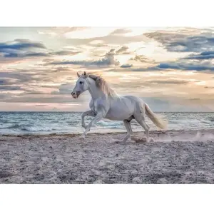 Ravensburger puzzel Horse on the Beach - 500 stukjes. pas cher