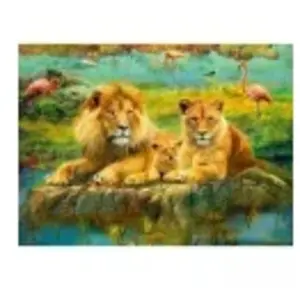 Ravensburger 12000220 Legpuzzel 500 stuk(s) Overige pas cher
