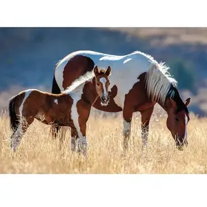 Nathan puzzel Mare and Her Foal - 1500 stukjes. pas cher
