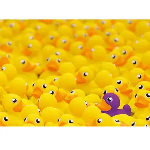 Ravensburger Canards 00587 pas cher