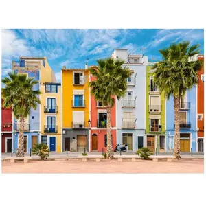Ravensburger Madrid 00027 pas cher