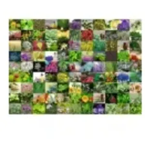 Ravensburger 99 Herbes et Epices 00073 pas cher