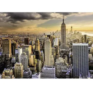 Ravensburger New York 00668 pas cher