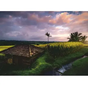 Ravensburger Puzzle Nature Edition 12000642 Reisfelder im Norden von Bali 500 Teile Puzzle pas cher
