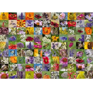 Ravensburger Verlag 99 Bienen pas cher
