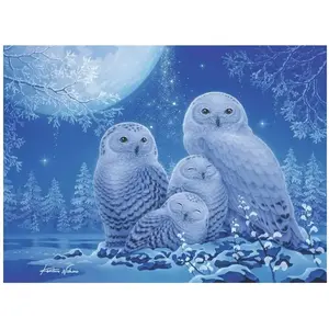 Ravensburger Puzzle Glow in the Dark - Chouettes au Clair de Lune 00479 pas cher