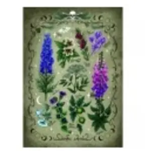 Ravensburger Plantes Toxiques 00781 pas cher