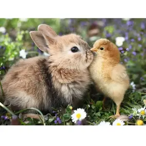 Ravensburger - Puzzle 500 pièces - Lapin et poussin (Collection bébés animaux) - dès 12 ans - Puzzle de qualité supérieure-12001900 pas cher