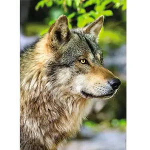 Ravensburger- Nathan Puzzle Adulte, 12001146 pas cher