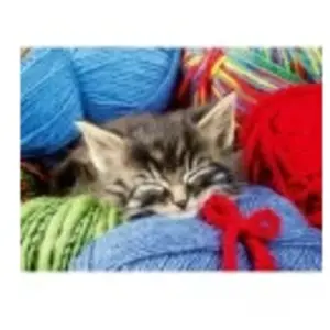 Ravensburger Bien Être & Puzzle - Chaton Dans La Laine 01363 pas cher