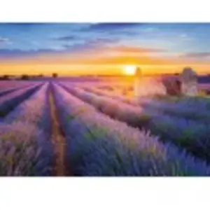 Nathan Collection Régions de France - Route de la Lavande, Valensole 0... pas cher