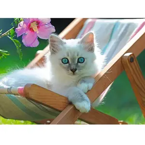 Puzzle 200 pièces Ravensburger - Chaton Blanc pas cher