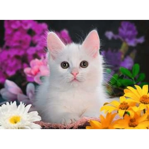 Ravensburger puzzel Schitterend katje - Legpuzzel - 100 XXL stukjes pas cher