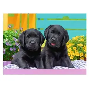 Puzzle Ravensburger - Chiots, 300 pièces XXL pas cher