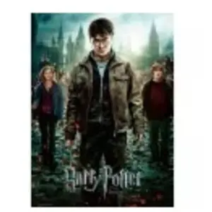 Ravensburger Pièces XXL - Harry Potter - Les Reliques de la Mort 12871