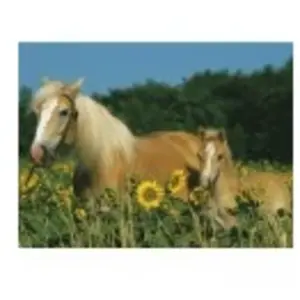 RAVENSBURGER - Mon cheval pas cher