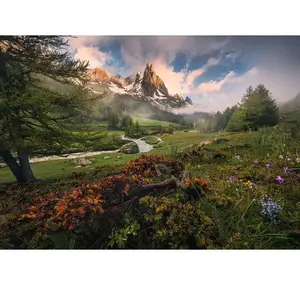 Ravensburger Nature Edition No 17 - Vallée de la Clarée 15993 pas cher