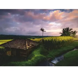 Ravensburger - Puzzle Rizières à Bali, 500 pièces, idée cadeau, pour e... pas cher