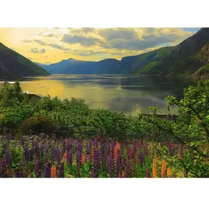 Puzzle 1000 pièces Ravensburger Fjord en Norvège pas cher