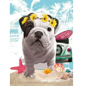 Ravensburger Puzzle 500 pièces Nathan Téo California Téo Jasmin pas cher