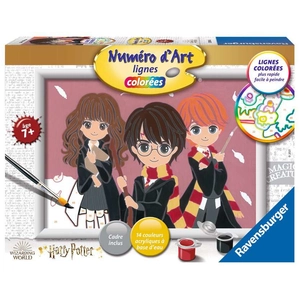 Numero d art lignes colorees portraits Harry Potter moyen modeleVendu parfnac-be