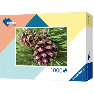 Comparateur de prix : Ravensburger Jeux Gravitrax Élément Colour Swap