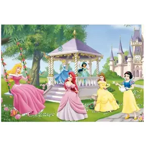 Puzzle Princesses magiques Ravensburger 2 x 24 pièces pas cher