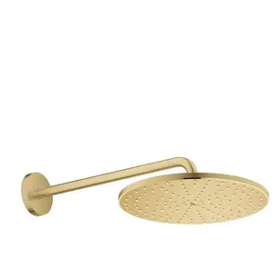 Grohe Rainshower Mono - Douchekop, diameter 31 cm, geborsteld Cool Sun... pas cher