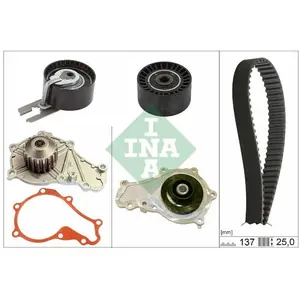 Waterpomp + Distributieriemset 530063230 Ina pas cher