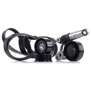 Ina Multiriemen Set Audi