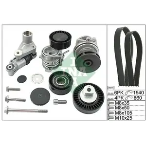 INA Multiriemen Set Bmw pas cher