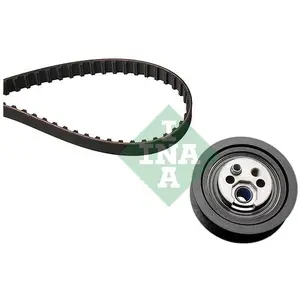 INA Distributieriemset pas cher