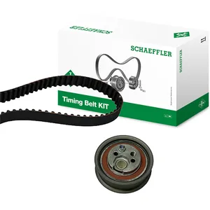 Ina Distributieriemset pas cher