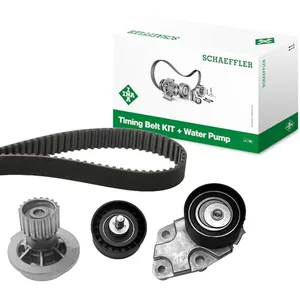 Ina Waterpomp + Distributieriemset pas cher