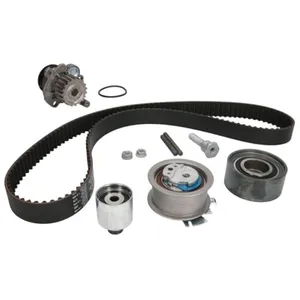INA 530 0463 30 Kit pompe à eau et courroie de distribution